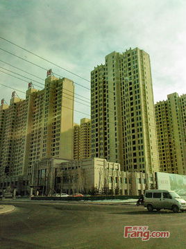 大連新星房地產開發集團 深耕本土，輻射全國的城市建設者